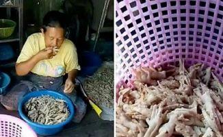 爆料鸡爪制作视频,自制美味鸡爪,跟随视频教程轻松学会! 第2张 爆料鸡爪制作视频,自制美味鸡爪,跟随视频教程轻松学会! 第2张