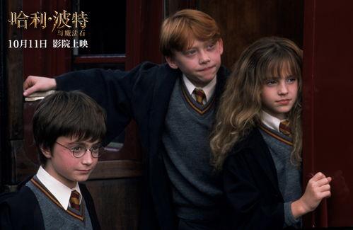 哈利波特与魔法石在线观看免费,魔法世界的奇幻启程 第2张 哈利波特与魔法石在线观看免费,魔法世界的奇幻启程 第2张