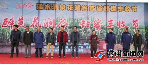 浠水二小爆料新闻报道,校园新闻背后的故事 第2张 浠水二小爆料新闻报道,校园新闻背后的故事 第2张